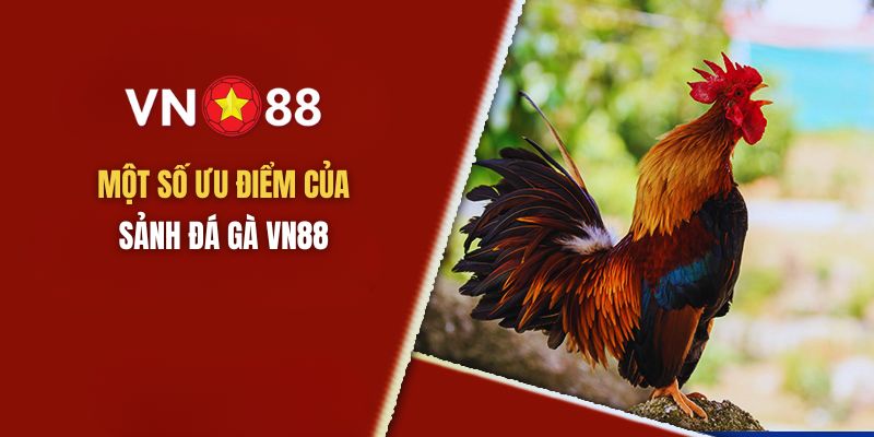 Điểm mạnh của sới đá gà trực tiếp VN88